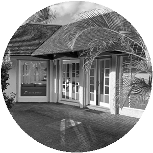 agence_michael_zingraf_maurice